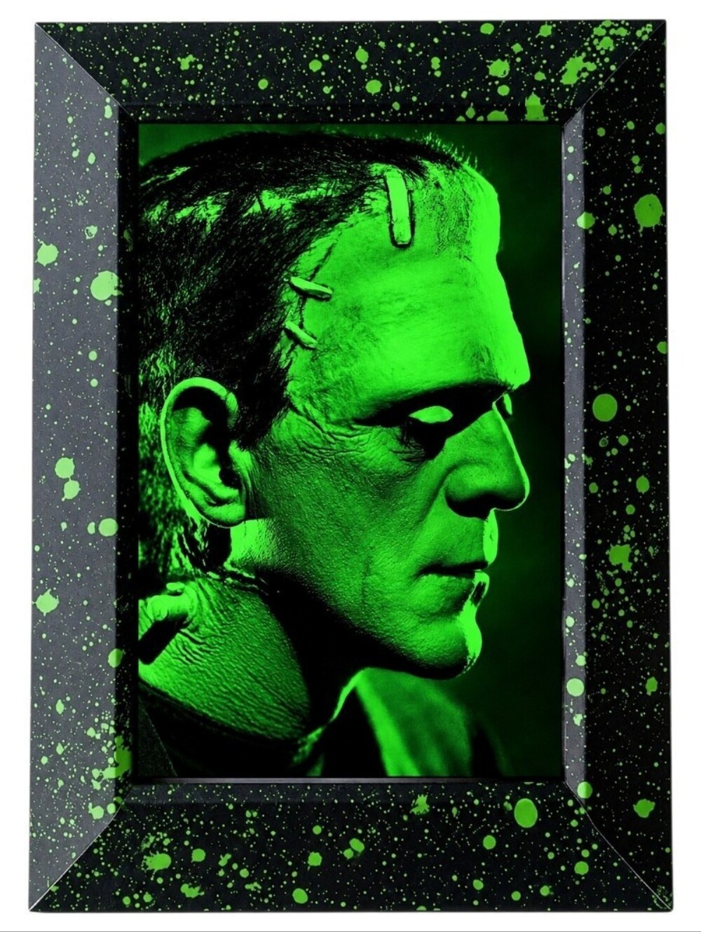 The Bride FRANKENSTEIN Monster Universal Vintage Retro Cult Classic Flim Frame
